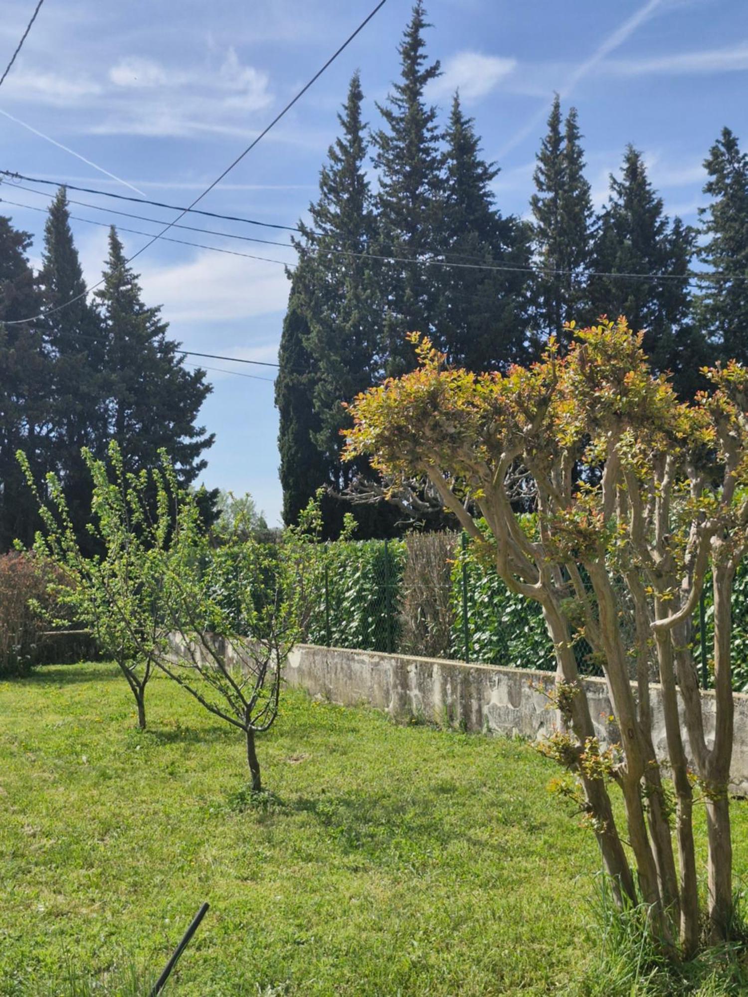 Maison Le Murier Aubignan Exteriör bild